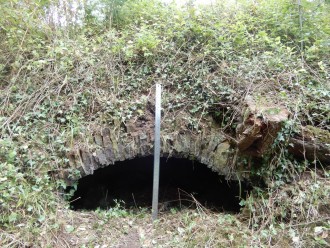 Carnforth Coke Ovens: An initial assessment of the works that could be carried out by volunteers to further the conservation of the ovens.
