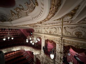 Assessing the condition of the ornate ceilings above the main auditorium of the Lyceum Theatre